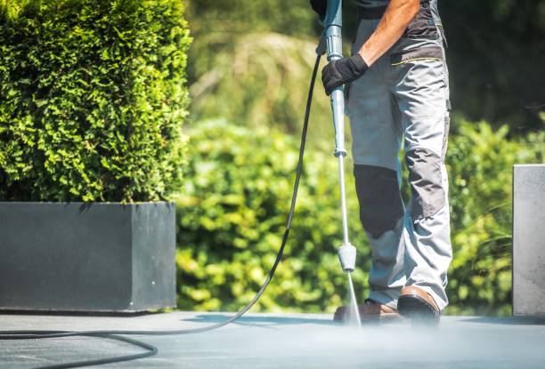 Best Solar Panel Cleaning  in Dassel, MN