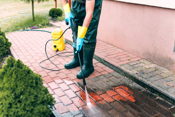 Best Pool Deck Cleaning  in Dassel, MN