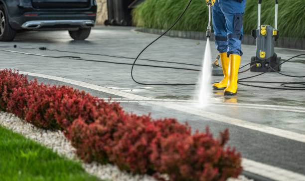 Best Patio and Deck Pressure Washing  in Dassel, MN