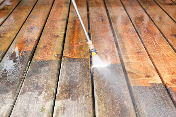Best Dumpster Area Cleaning  in Dassel, MN