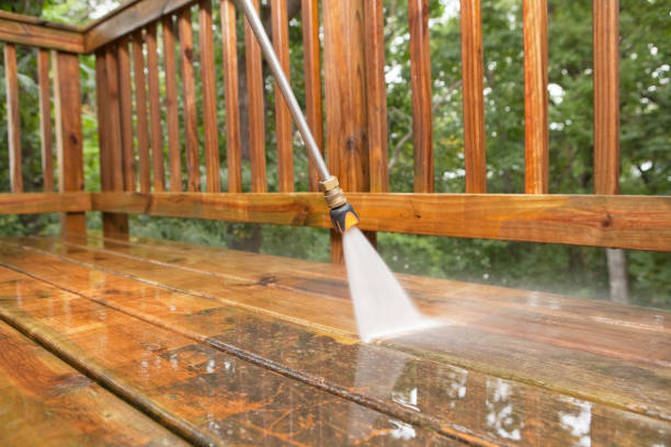 Boat and Dock Cleaning in Dassel, MN
